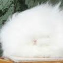 fluffers