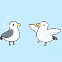 A_Seagull
