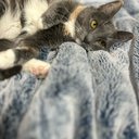 daisymolly