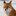Baby_groot
