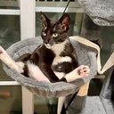beanzz