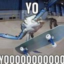 voquev