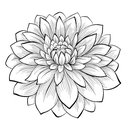 cnwolfe06