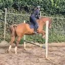 lucie_gmi