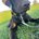 Its_Elsie