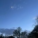 dani_1453
