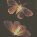 _haileyom_