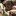 Its_Elsie