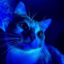 tykitty