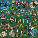 Star7