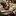 _Ederle_
