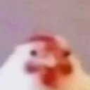 beans_