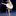 ballet2607