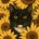 stoickitty