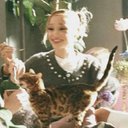 RavenCat