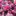jenny_609