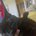 lovemycat2