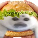 mercurrie_