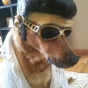 lilywebby2