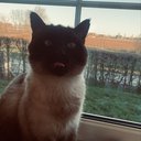 janne_ds