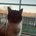 janne_ds