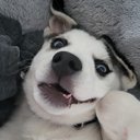 Mmendo