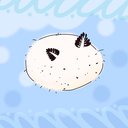SeaBunny