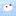 SeaBunny
