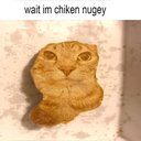 angellspt