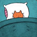 chipcat