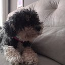 chloedecos