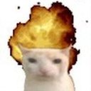 r0cks
