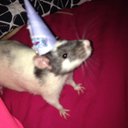 ratc0m