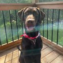 Its_Elsie