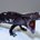 dragon1478