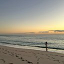 vaca26