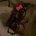 elouise_11