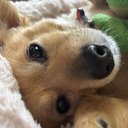 jrt6488