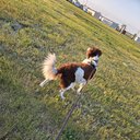 Addie_-