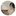 Moonbeam24