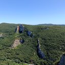Dinovka