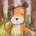 willaroo