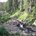 Regier