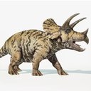 asinglebit