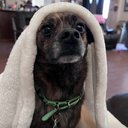 Just_Abby