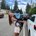 jaydn