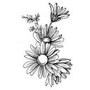 101daisies