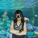gujimoda