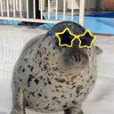 Paltastic