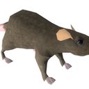 Stupid_Rat